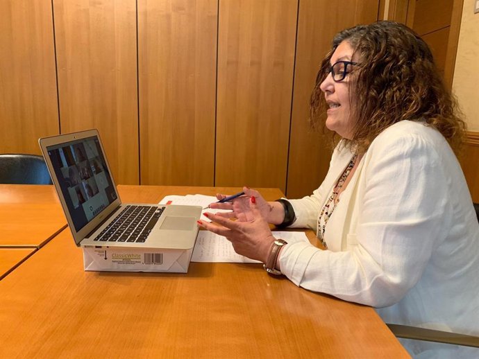 La concejala de Hacienda de Gijón, Marina Pineda, en rueda de prensa telemática