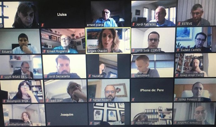 Empresarios gerundenses este jueves en una reunión telemática con la consellera de Empresa y Conocimiento de la Generalitat, ngels Chacón