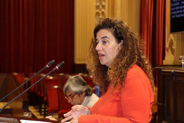 La consellera de Presidencia, Cultura e Igualdad, Pilar Costa, durante una interveción en el Parlament