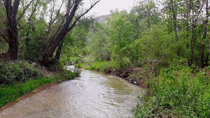 Confederación Hidrográfica Del Ebro Finaliza Una Actuación De Mejora De La Capacidad De Desagüe En El Río Martín, En Montalbán (Teruel)