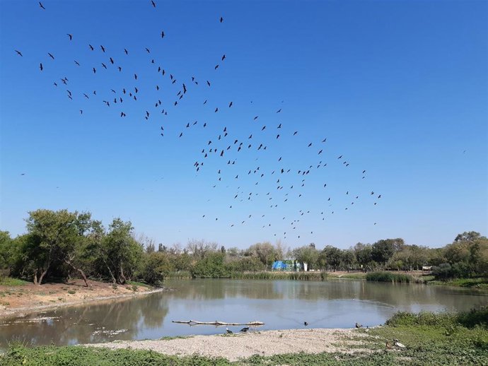 Laguna de Fuente del Rey