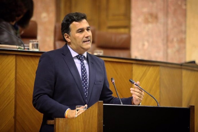 El diputado de Ciudadanos Carlos Hernández White, en una imagen de archivo en el Pleno del Parlamento.