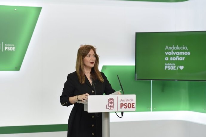 La diputada socialista y miembro de la Mesa del Parlamento, Verónica Perez, en rueda de prensa telemática.