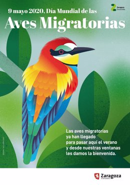 Cartel del Día Mundial de las Aves Migratorias