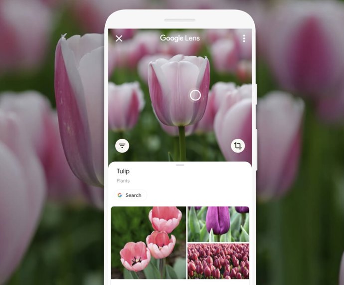 Google Lens ya permite copiar texto al ordenador y aprender la pronunciación de 