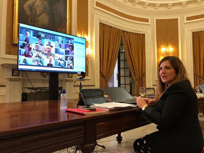 La presidenta de la Diputación, Irene García, dirigiendo el Pleno desde el Palacio Provincial