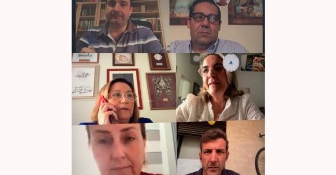 Reunión telemática de diputados y senadores del PSOE de Huelva.