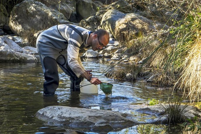 [Comunicacion.Csic.Andalucia] Ndp Camarones De Agua Dulce De Cádiz Escogen El Hábitat Más Beneficioso Para Vivir
