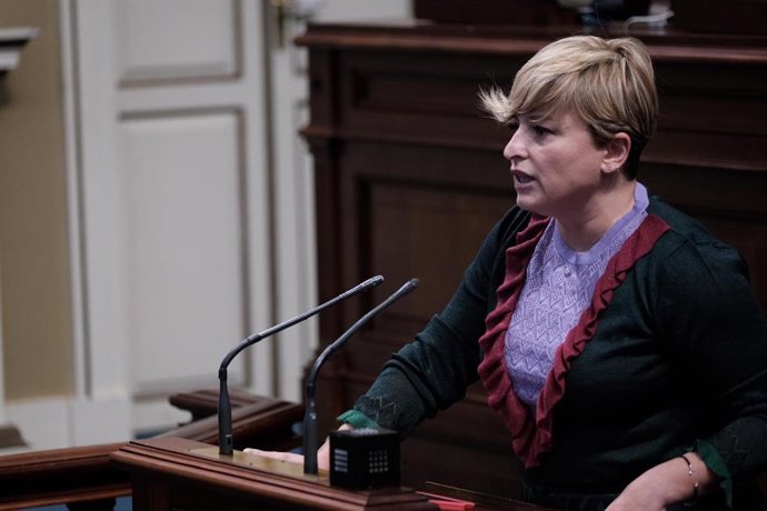 La portavoz del Grupo Parlamentario Socialista, Nayra Alemán