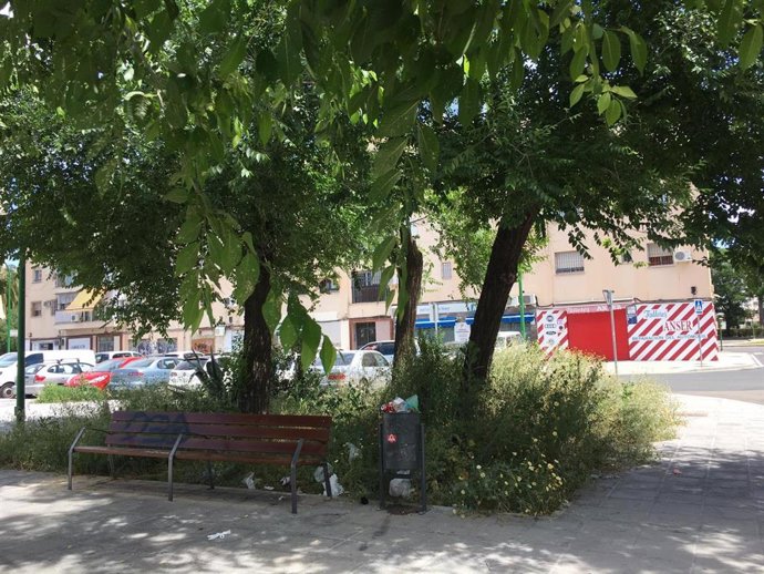 Ciudadanos detecta "un mapa de más de 200 calles y plazas" en las que urge "un plan municipal de desbroce"