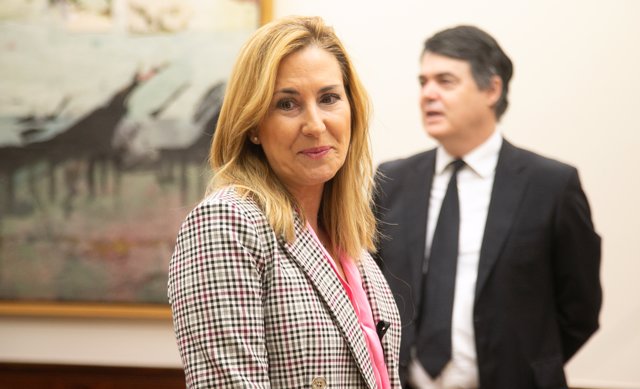 La diputada del PP Ana María Beltrán Villalba