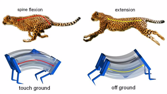 Nuevos robots guepardo galopantes se mueven tres veces mas rápido