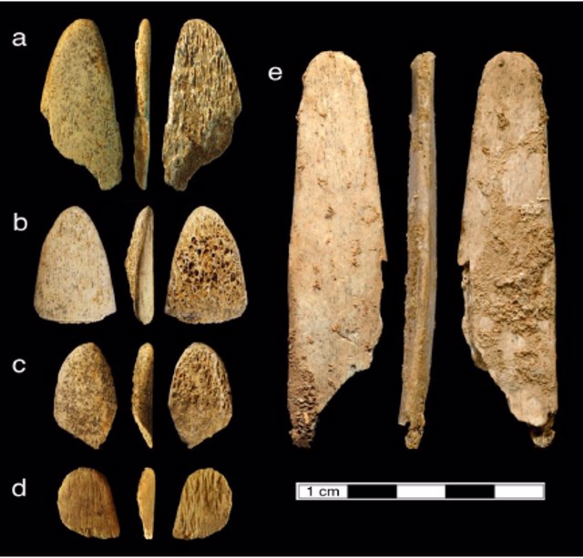 Colección de huesos usados como herramienta para curtido por los neandertales
