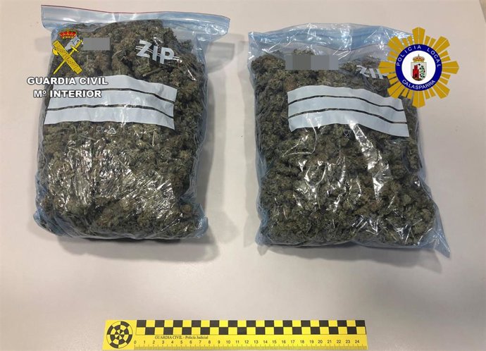 Guardia Civil sorprende a dos vecinos de Calasparra con más de 600 gramos de marihuana en cogollos