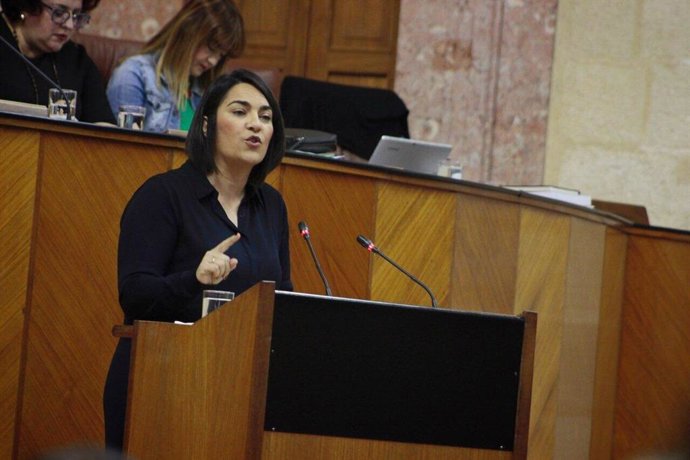 La diputada nacional de Ciudadanos (Cs) María del Carmen Martínez