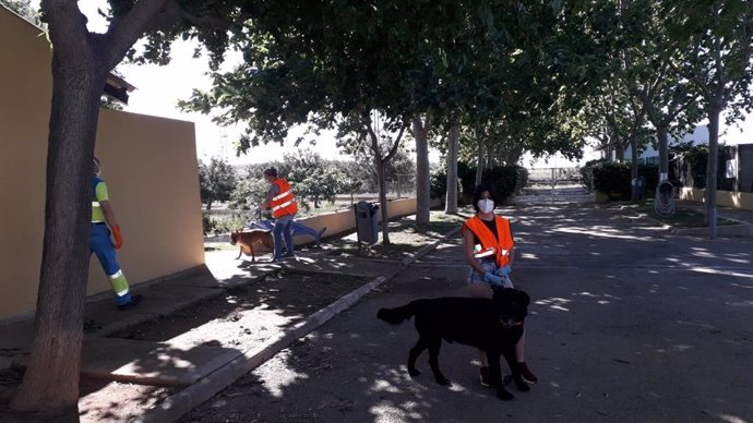 Voluntarios que colaboran en el paseo de los perros de Son Reus.