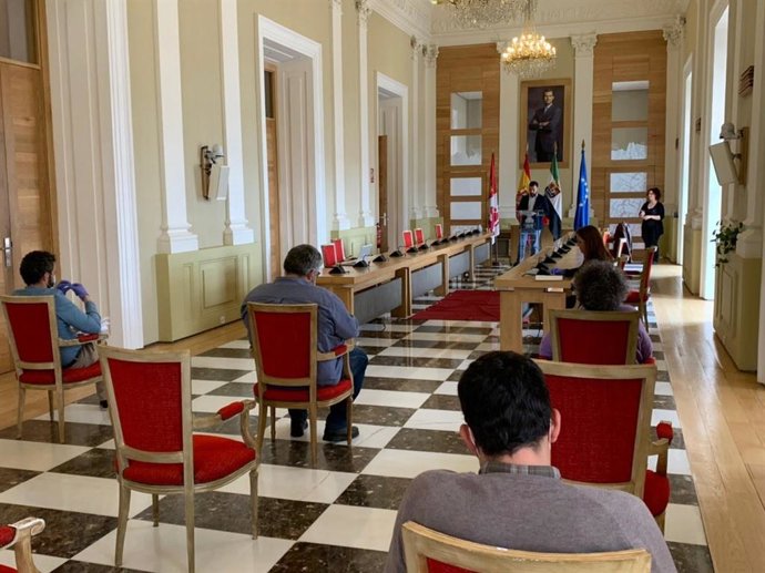 El alcalde de Cáceres en una rueda de prensa online