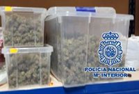 Detenido con un cultivo clandestino de 282 plantas de marihuana en un almacén de Cártama (Málaga)