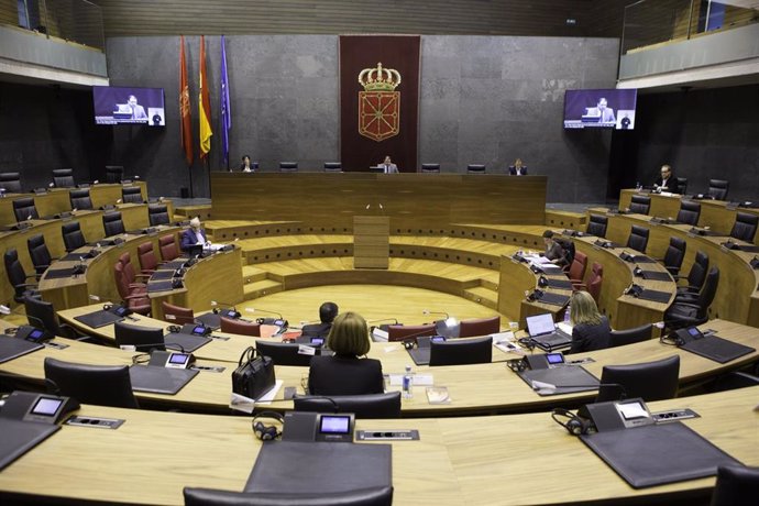 Sesión en el Parlamento de Navarra