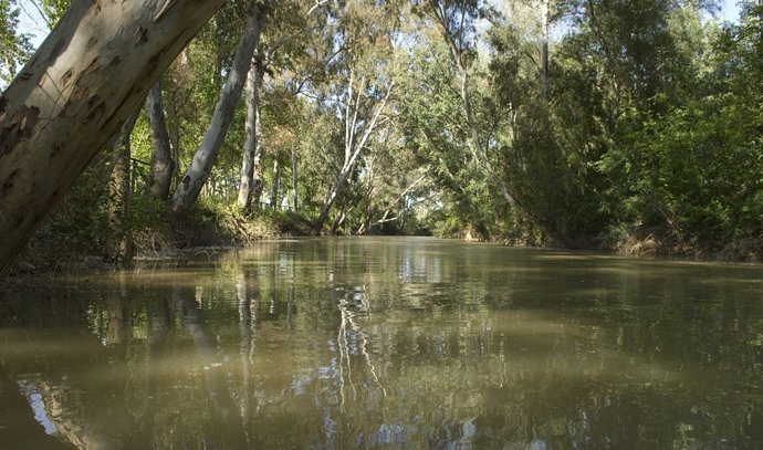 Coronavirus.- Andalucía eleva a 19 millones la inversión para restaurar cauces p