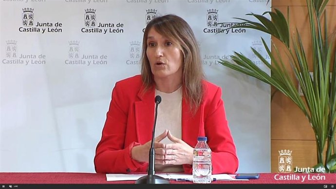 Captura de la comparecencia telemática de Lucas.