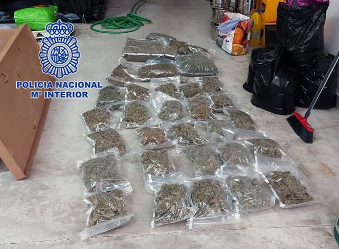 La Policía Nacional Sorprende Al Encargado De Una Asociación De Cannabis Cuando Acudía A Realizar El Mantenimiento De Una Plantación De Marihuana