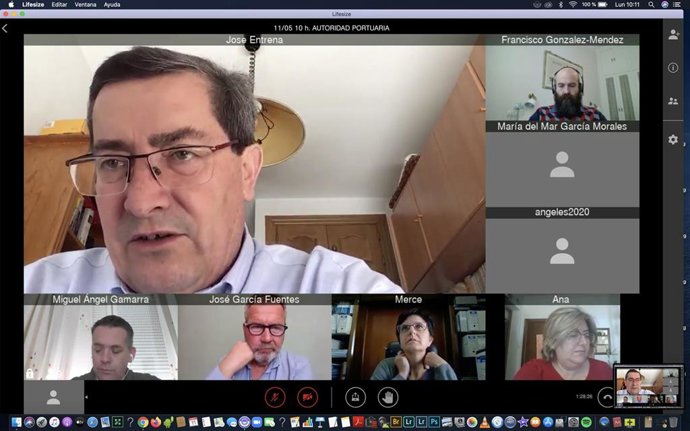 Reunión telemática entre la Diputación de Granada y el Puerto de Motril