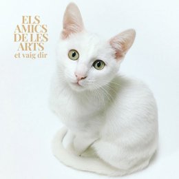 Els Amics de les Arts lanzan un nuevo adelanto de su nuevo disco 'Et vaig dir'