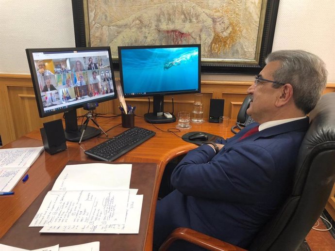 El vicepresidente de Canarias, Román Rodríguez, en una reunión por videoconferencia con la ministra de Hacienda, María Jesús Montero
