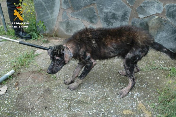 Vídeo de la noticia