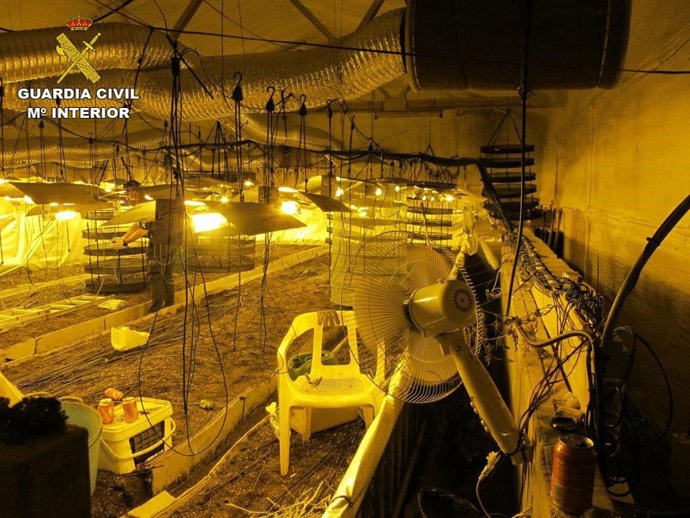 Plantación de marihuana en una nave agrícola de Manresa