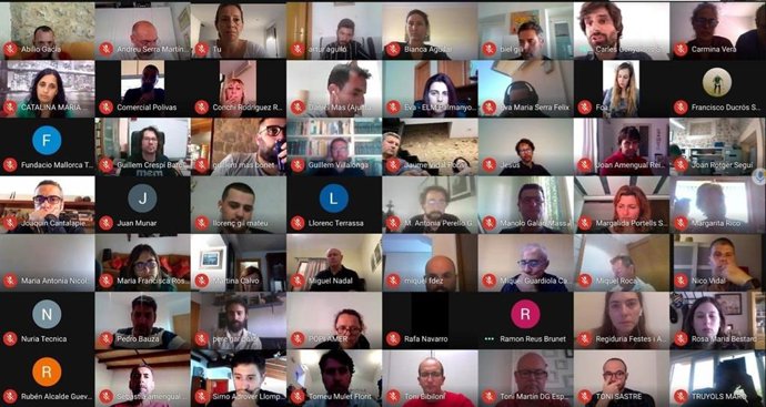 Reunión telemática del Consell de Mallorca con los alcaldes y concejales e Deportes de la isla