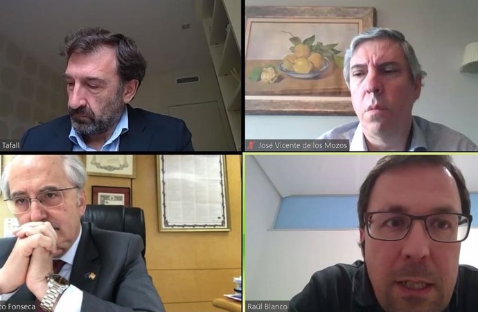 Captura de pantalla de la mesa redonda 'online' con José Vicente de los Mozos (arriba a la derecha).