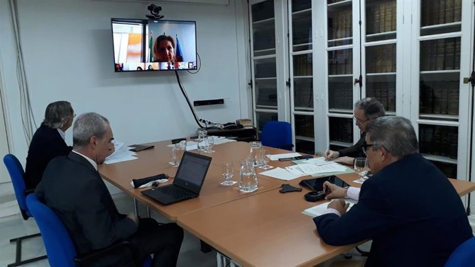 La Comisión Provincial del Pfoea, vía telemática