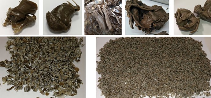 Cádiz.- Investigadores de la UCA crean un producto a partir de residuos de remol