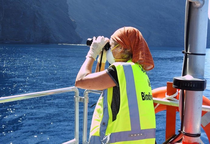 Gobierno de Canarias y Cabildo de Tenerife monitorizan al águila pescadora, espe