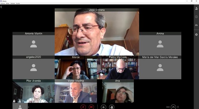 Reunión telemática entre la Diputación y la Universidad de Granada