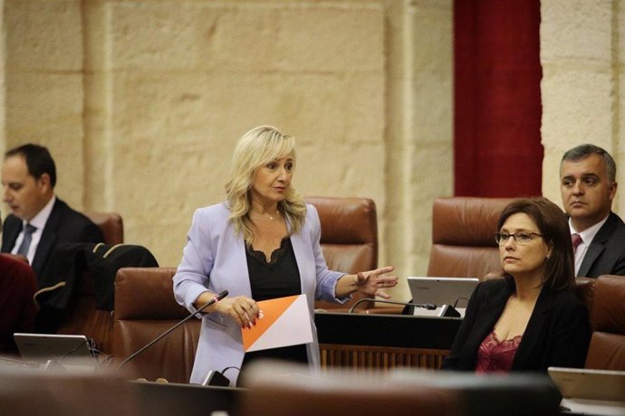 La diputada de Ciudadanos por Sevilla en el Parlamento de Andalucía, Ana Llopis