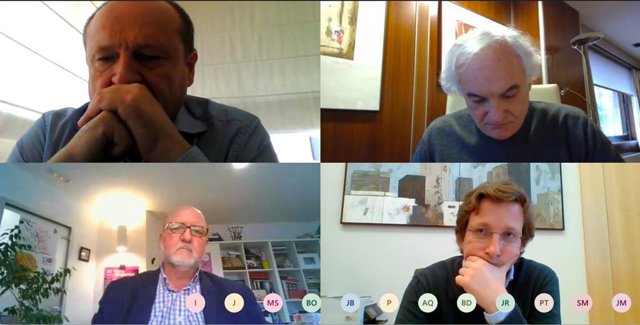 Reunión telemática del Consejo Local para el Desarrollo y el Emplo de Madrid