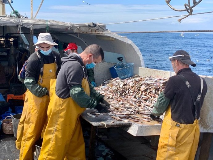 Las poblaciones pesqueras en el Atlántico noreste aumentaron en más de un 50% en