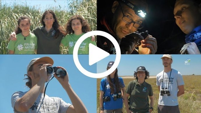 Voluntarios de SEO/Birdlife lanzan un 'Gran Hermano' ornitológico para estudiar el comportamiento de algunas aves