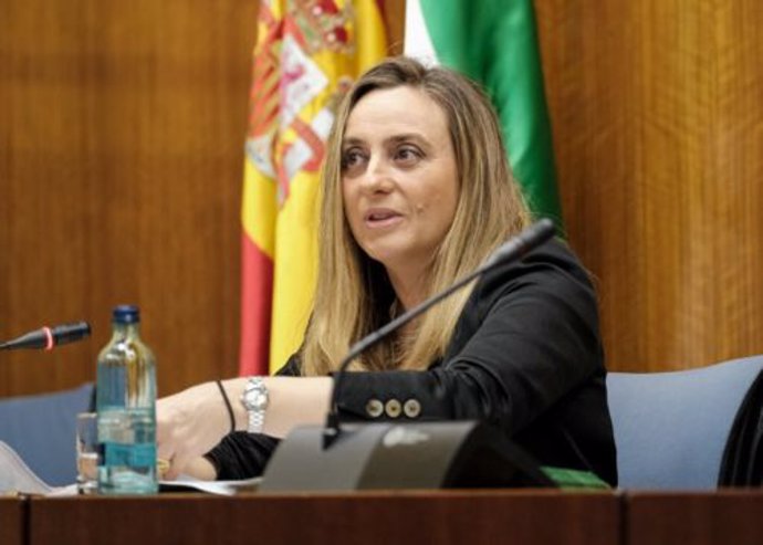 La consejera de Fomento, Marifrán Carazo, este miércoles durante su comparecencia parlamentaria en comisión. 