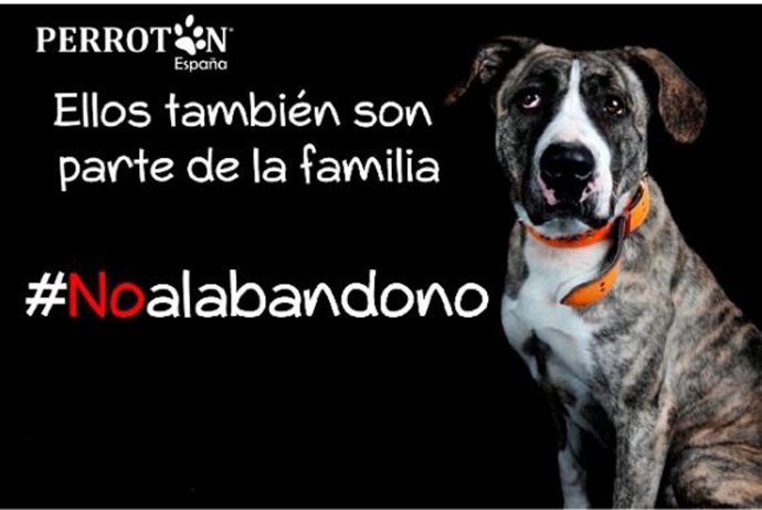 Campaña contra el abandono de animales.