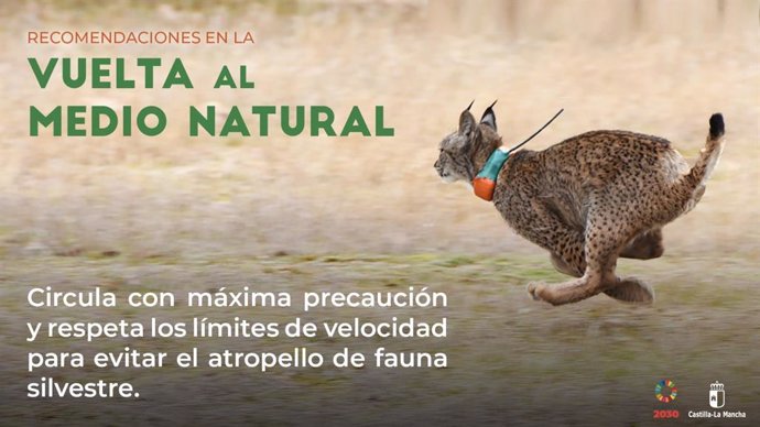 Guía de consejos para salir al medio natural en C-LM.