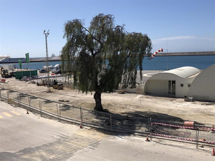 Obras de remodelación en el vial principal en el Puerto de Motril