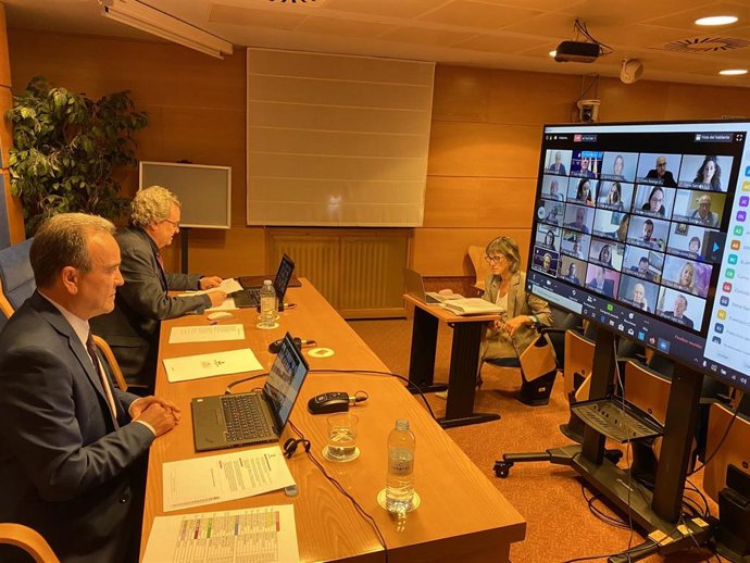 Sánchez Quero en el pleno telemático de la DPZ.