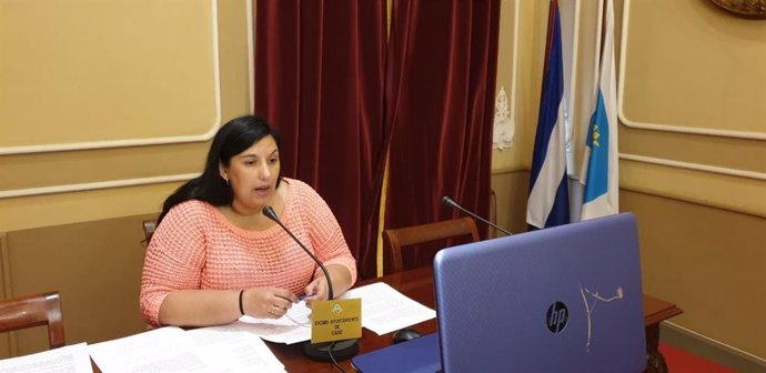 La concejala de Educación del Ayuntamiento de Cádiz, Ana Fernández, en una rueda de prensa telemática