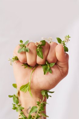 Mother Nature needs all the help she can get    Cropped shot of an unidentifiable woman's hand clenching flowers in a fist in studio