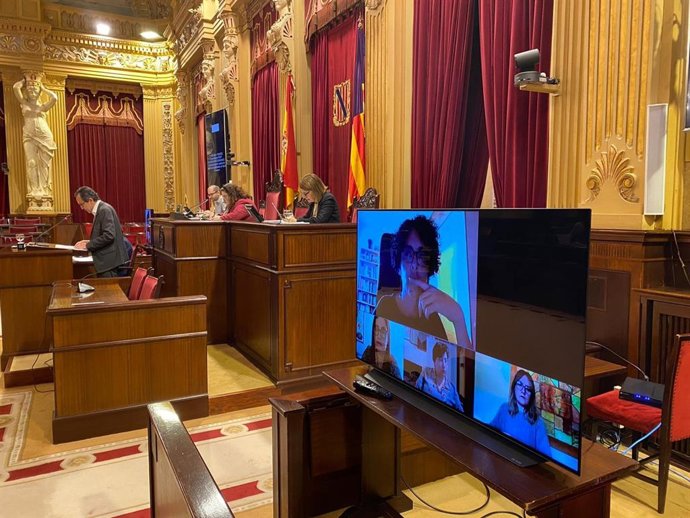 Comisión de Salud en el Parlament.