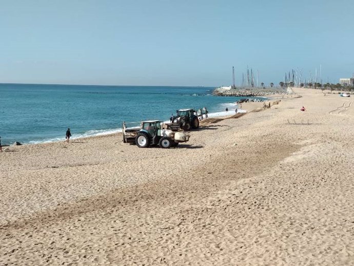 Dos tractores realizando tareas de acondicionamiento en las playas de Badalona (Barcelona)